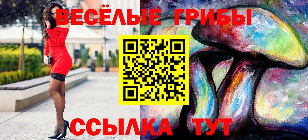 Гусев  Псилоцибиновые грибы Magic Shrooms  Вход с VPN 